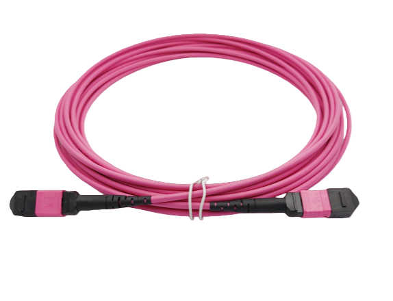 MPO/MTP Patch Cord