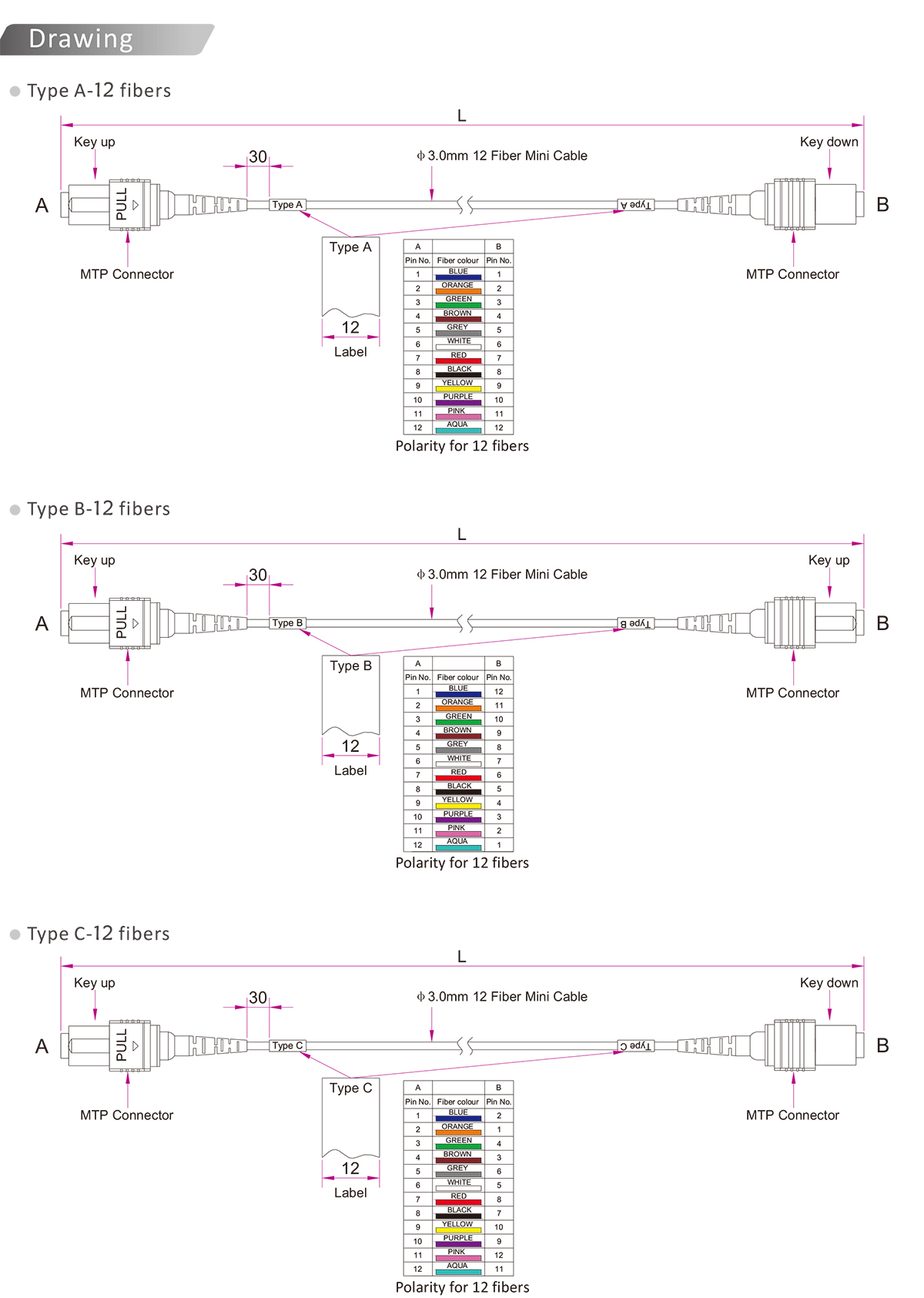 MTP-MTP patch cord-英-2.jpg